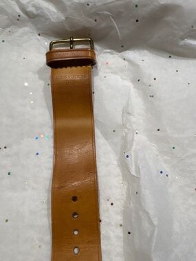 Luggage strap Louis Vuitton